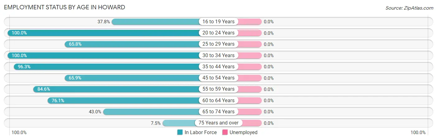 Employment Status by Age in Howard