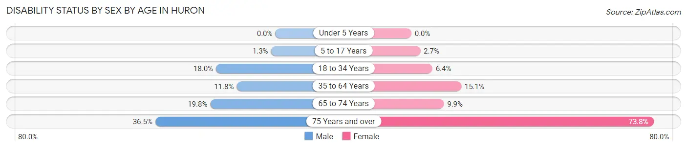 Disability Status by Sex by Age in Huron