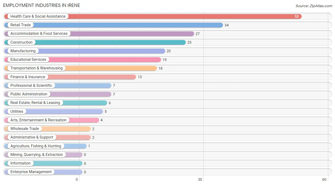 Employment Industries in Irene