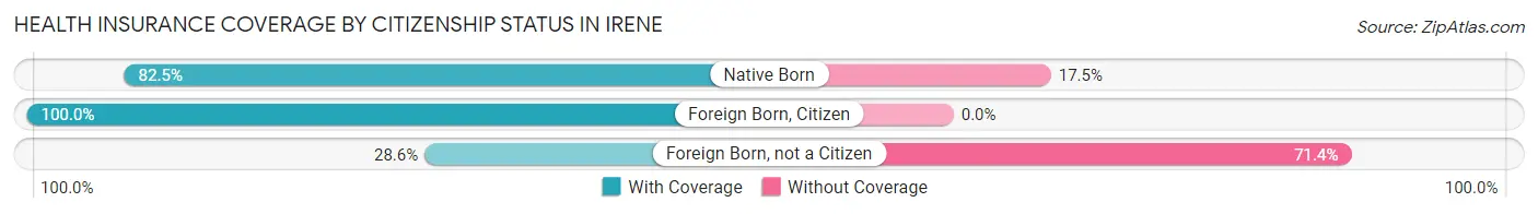 Health Insurance Coverage by Citizenship Status in Irene