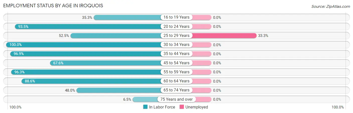 Employment Status by Age in Iroquois