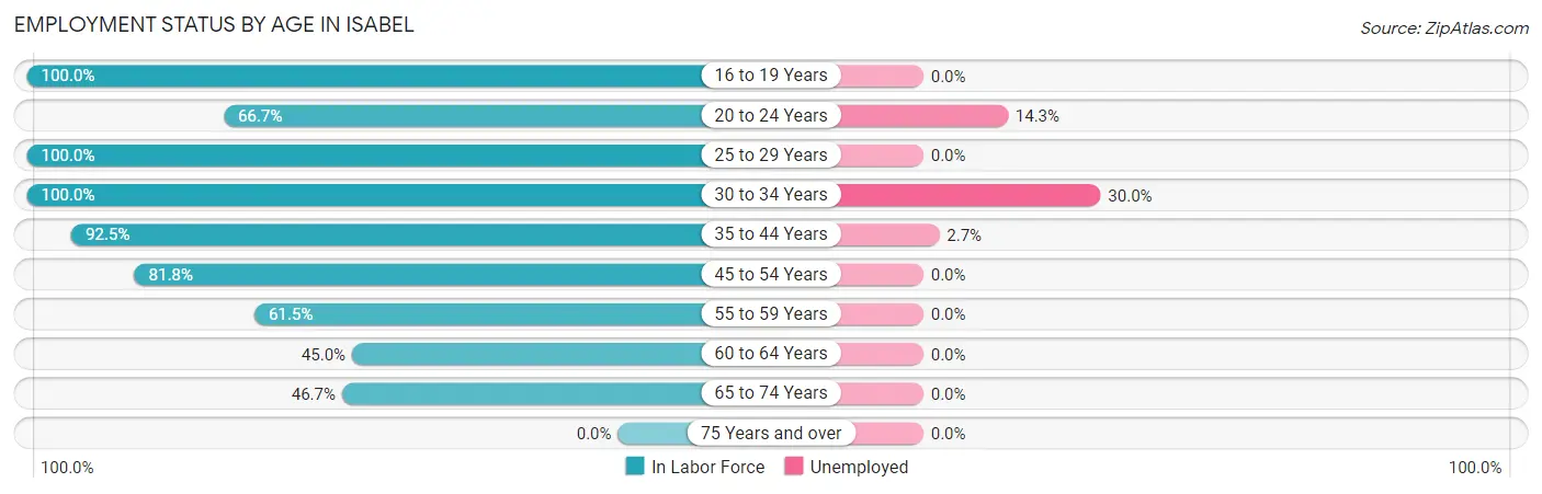 Employment Status by Age in Isabel