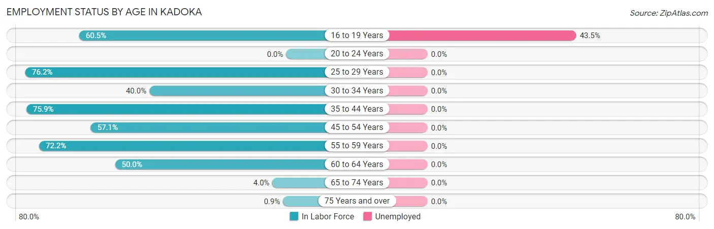 Employment Status by Age in Kadoka