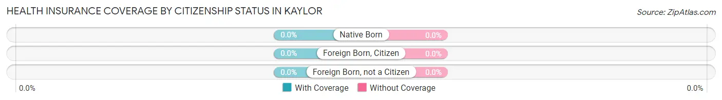 Health Insurance Coverage by Citizenship Status in Kaylor