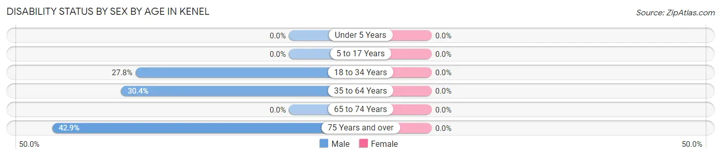 Disability Status by Sex by Age in Kenel
