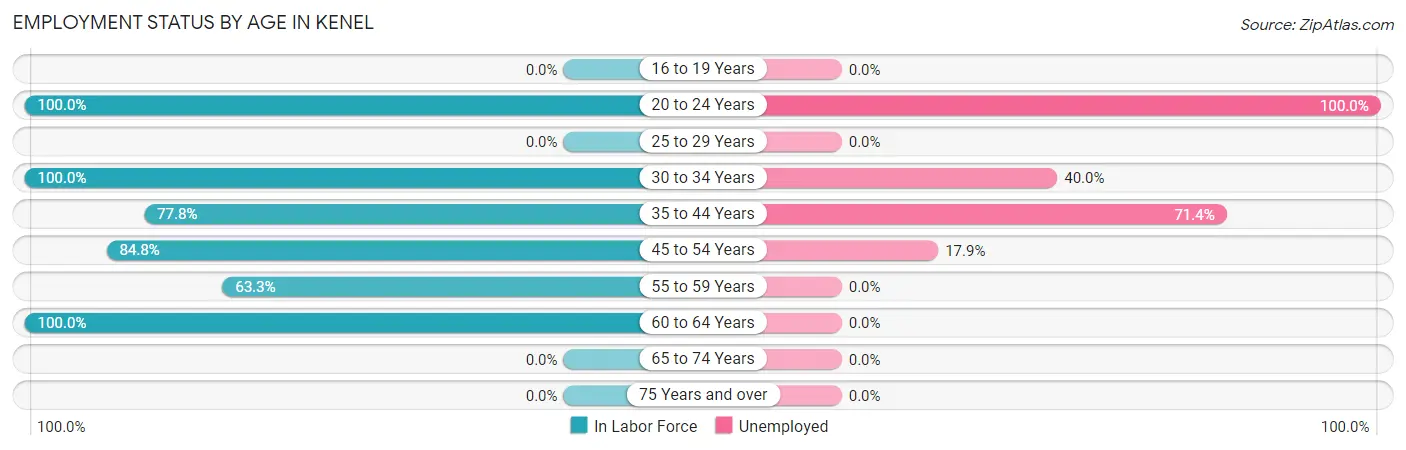 Employment Status by Age in Kenel