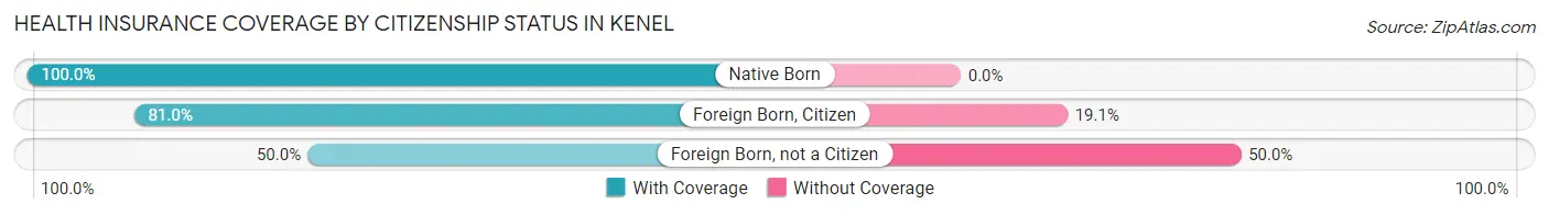Health Insurance Coverage by Citizenship Status in Kenel