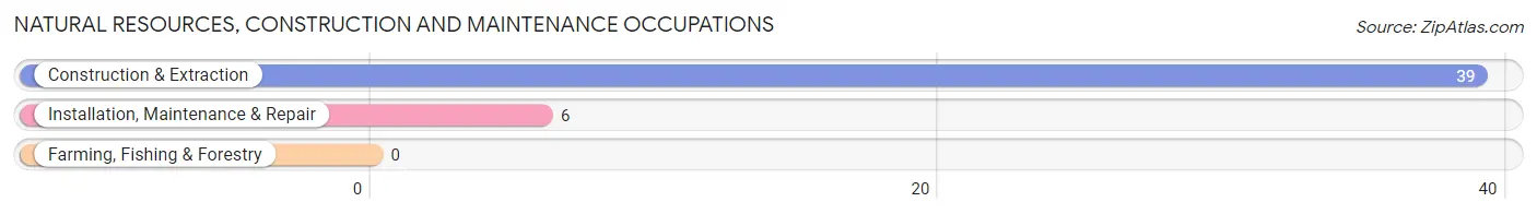 Natural Resources, Construction and Maintenance Occupations in Lake Madison