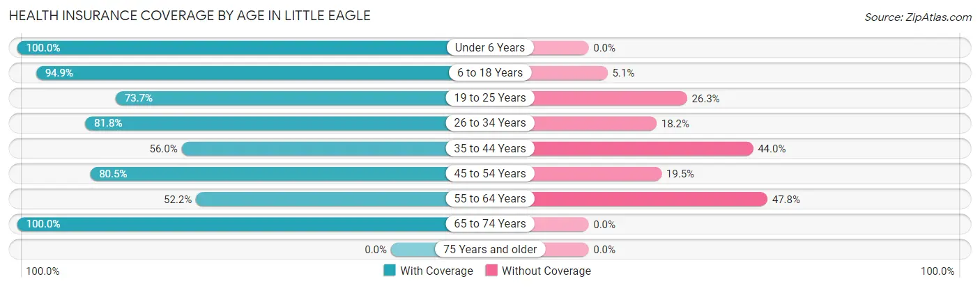 Health Insurance Coverage by Age in Little Eagle