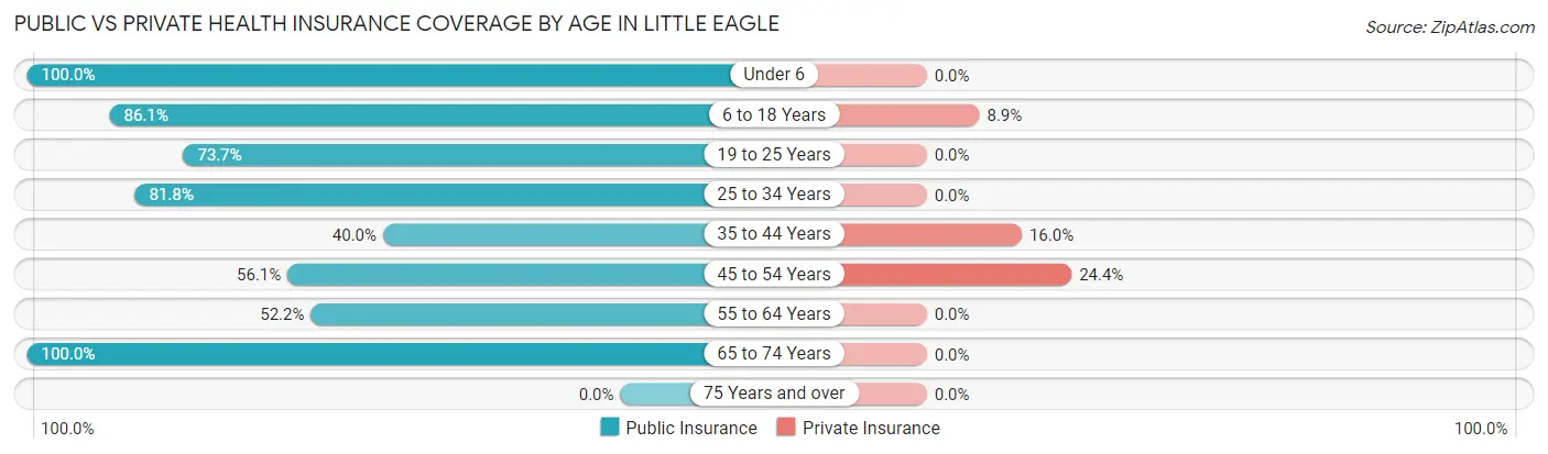 Public vs Private Health Insurance Coverage by Age in Little Eagle