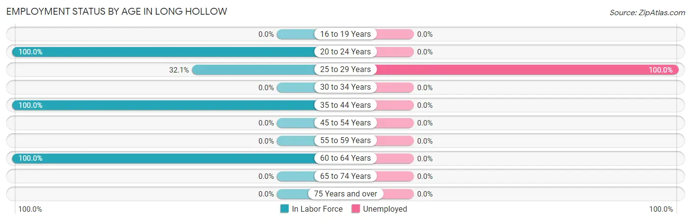 Employment Status by Age in Long Hollow