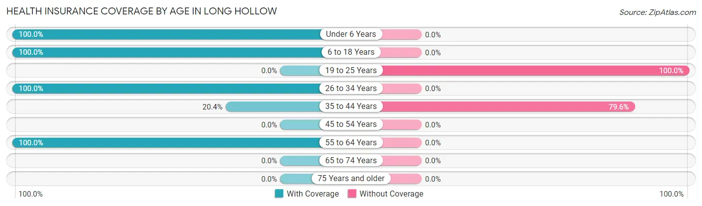 Health Insurance Coverage by Age in Long Hollow