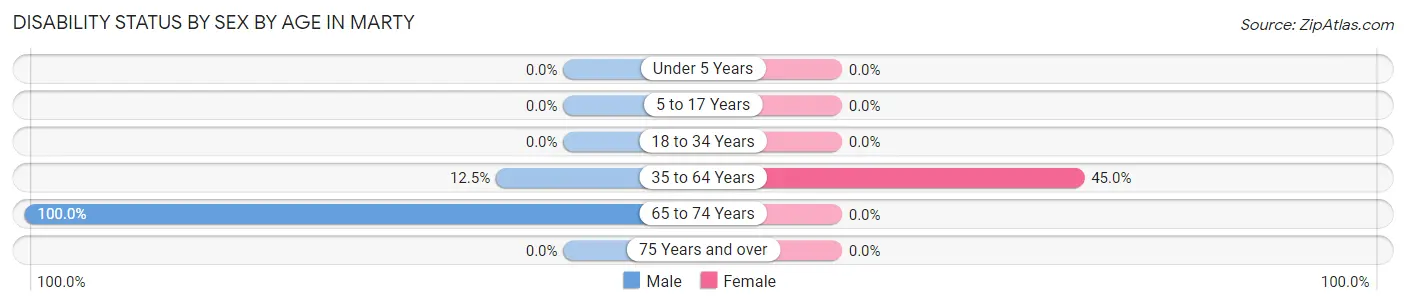Disability Status by Sex by Age in Marty