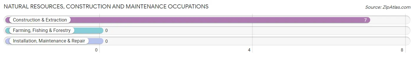 Natural Resources, Construction and Maintenance Occupations in Marty