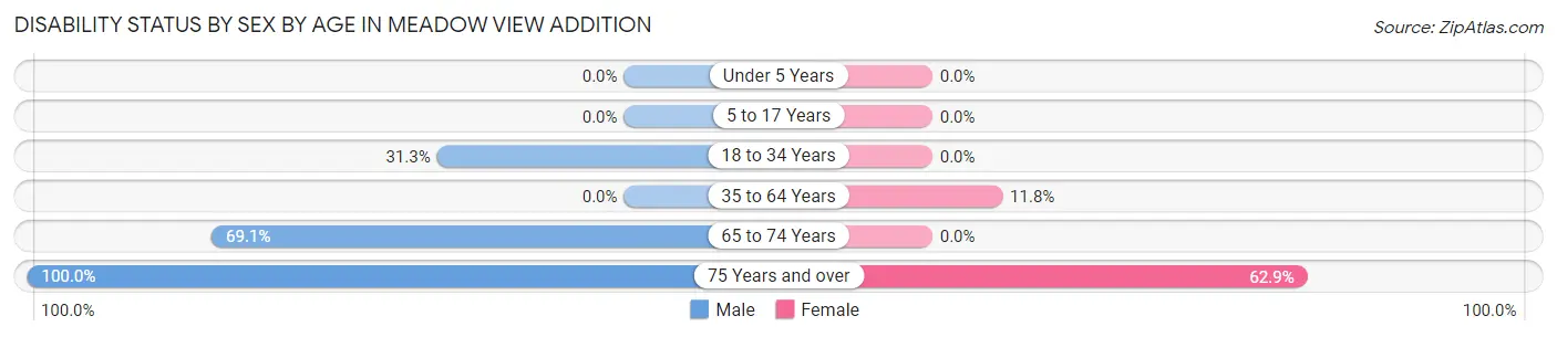 Disability Status by Sex by Age in Meadow View Addition