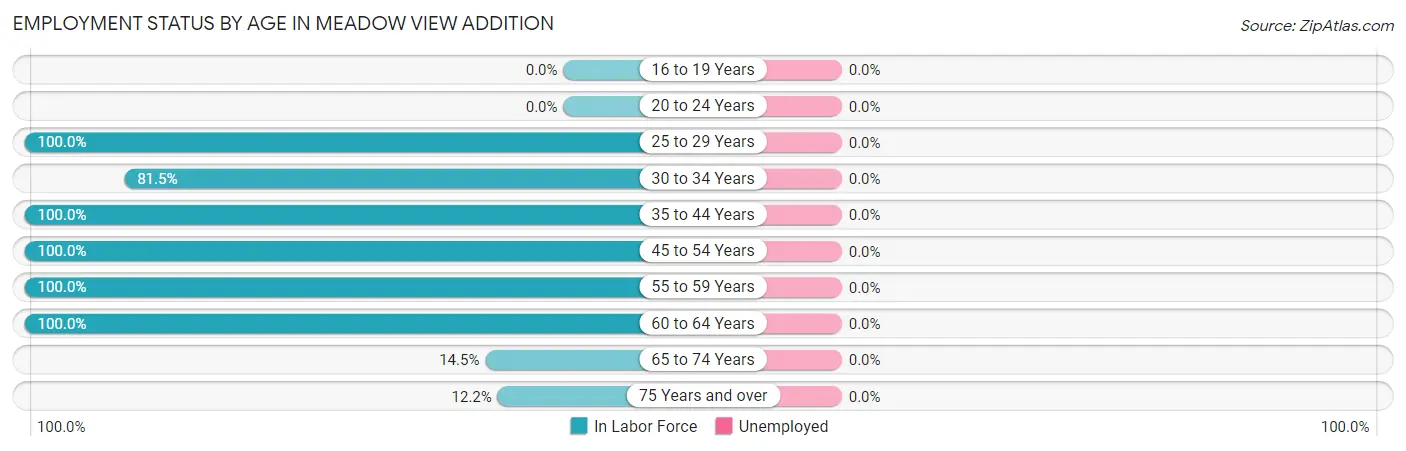 Employment Status by Age in Meadow View Addition