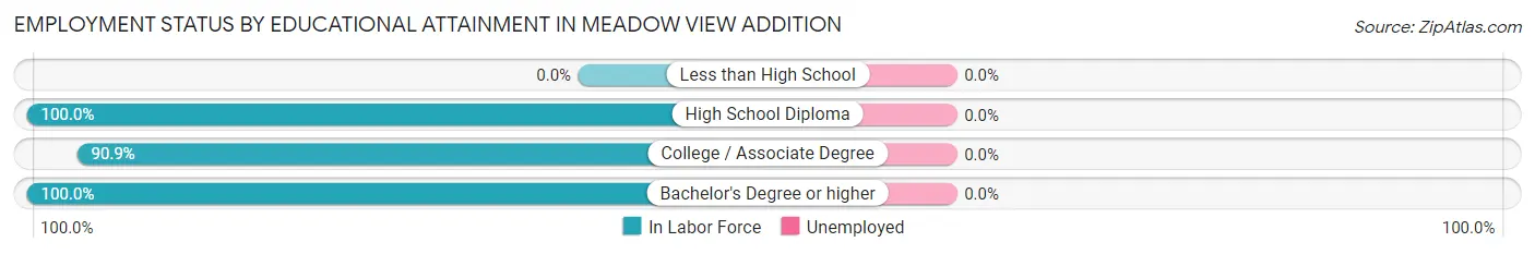 Employment Status by Educational Attainment in Meadow View Addition