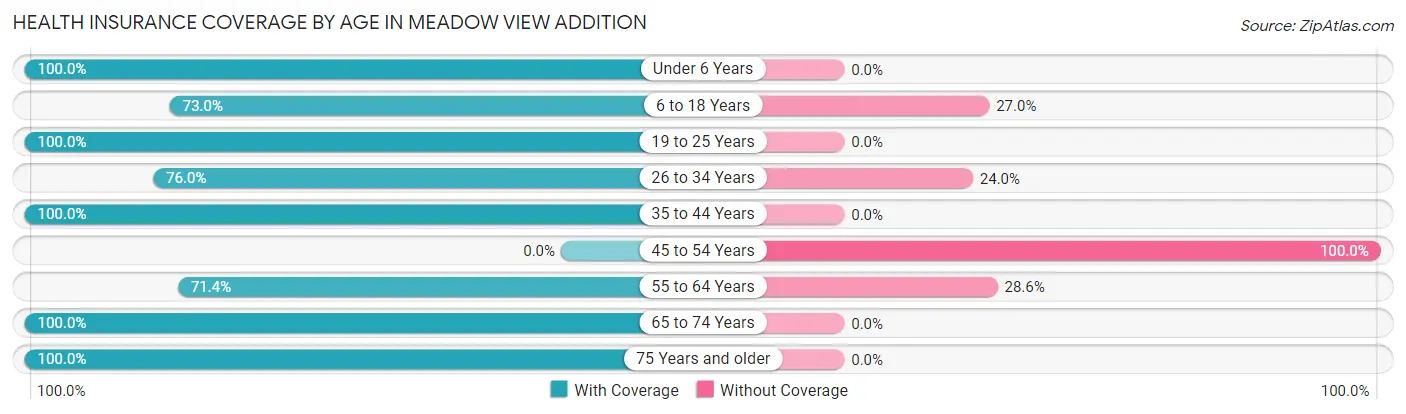 Health Insurance Coverage by Age in Meadow View Addition