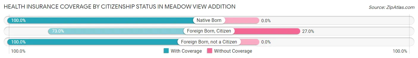 Health Insurance Coverage by Citizenship Status in Meadow View Addition