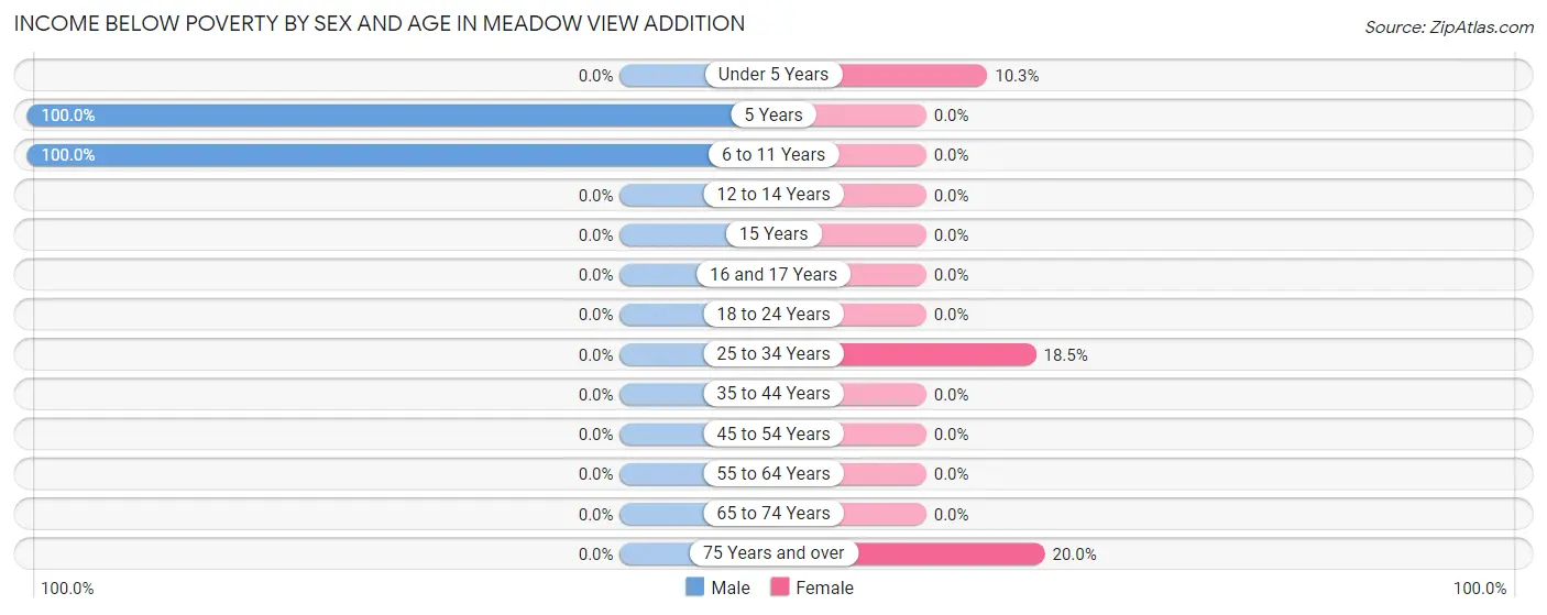 Income Below Poverty by Sex and Age in Meadow View Addition