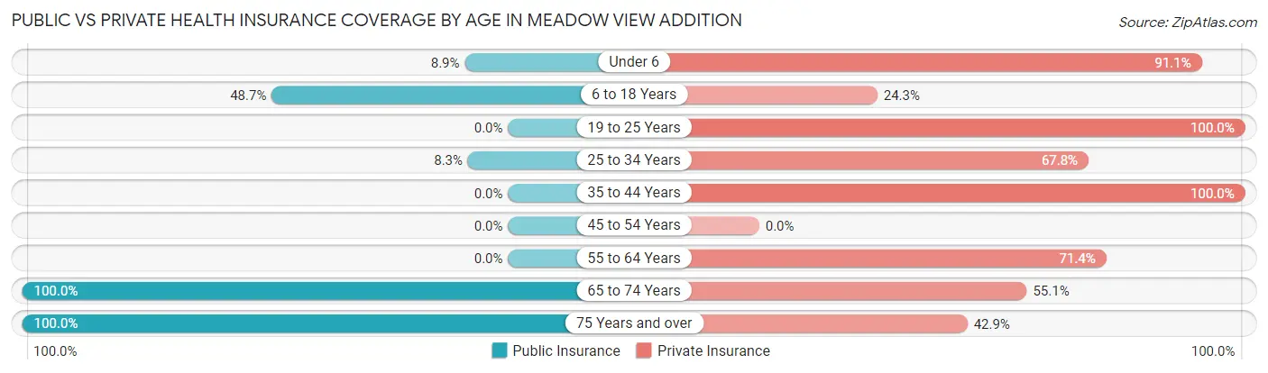 Public vs Private Health Insurance Coverage by Age in Meadow View Addition