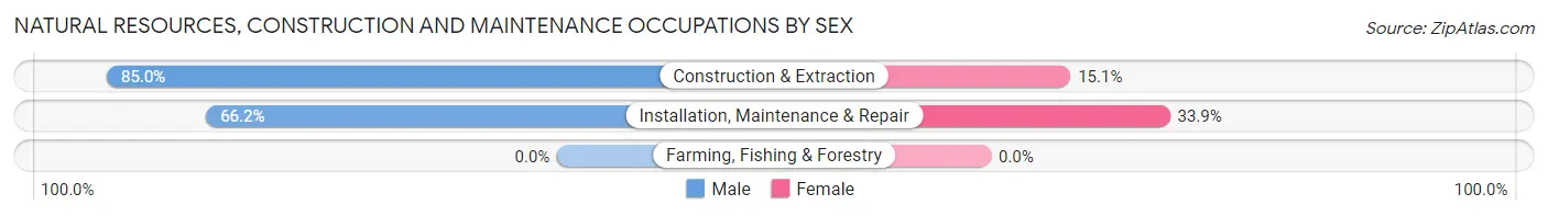 Natural Resources, Construction and Maintenance Occupations by Sex in Milbank