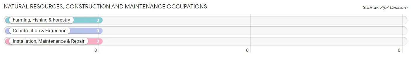 Natural Resources, Construction and Maintenance Occupations in Millbrook Colony