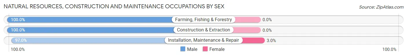 Natural Resources, Construction and Maintenance Occupations by Sex in Miller