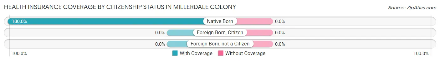 Health Insurance Coverage by Citizenship Status in Millerdale Colony