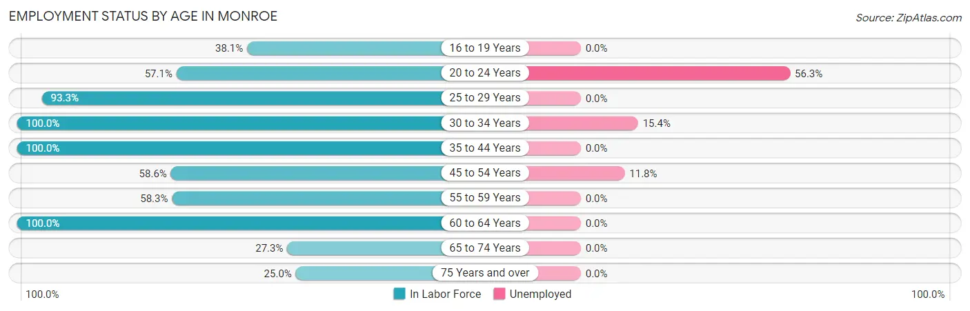 Employment Status by Age in Monroe