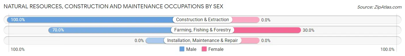 Natural Resources, Construction and Maintenance Occupations by Sex in Mound City