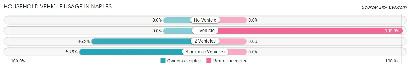Household Vehicle Usage in Naples