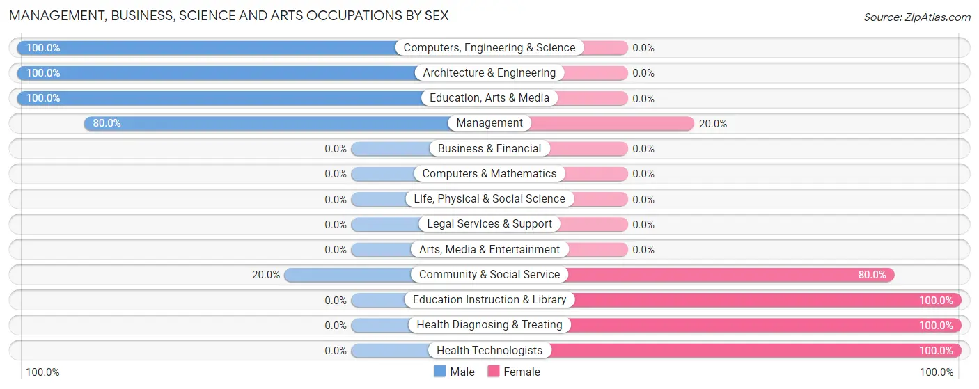 Management, Business, Science and Arts Occupations by Sex in New Effington