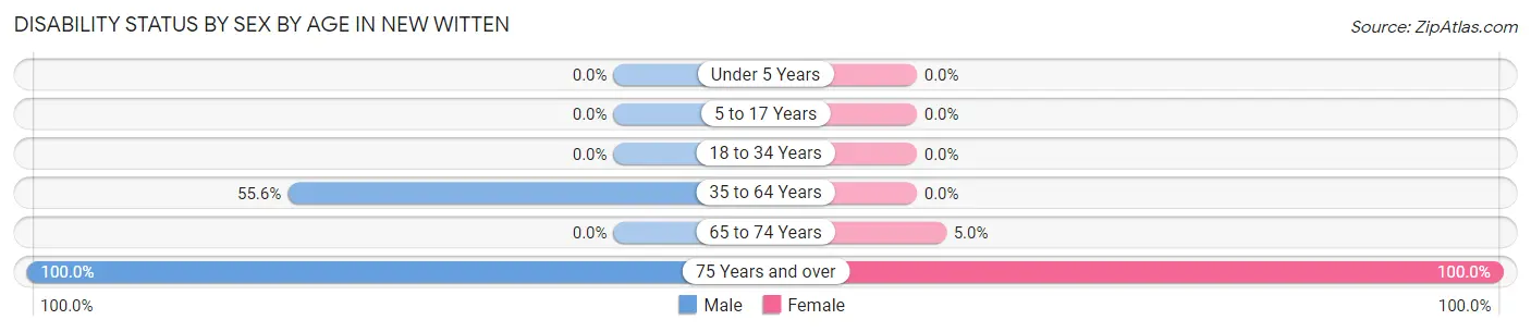 Disability Status by Sex by Age in New Witten