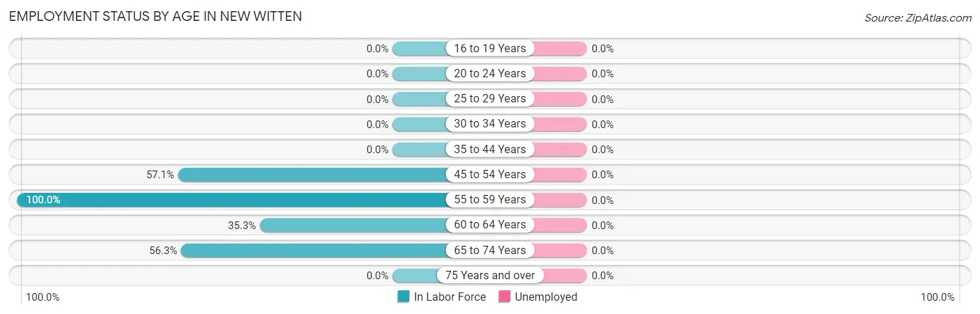 Employment Status by Age in New Witten