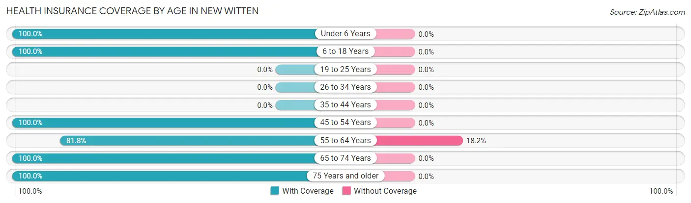 Health Insurance Coverage by Age in New Witten