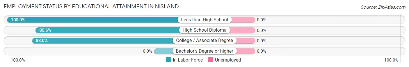 Employment Status by Educational Attainment in Nisland