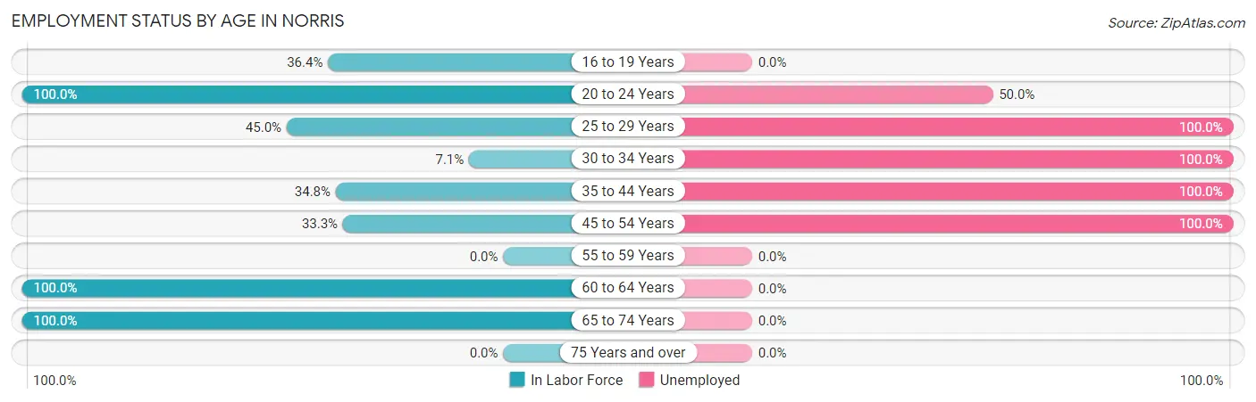 Employment Status by Age in Norris