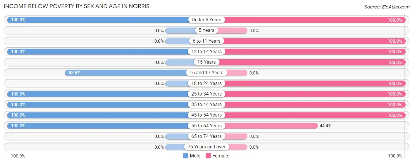 Income Below Poverty by Sex and Age in Norris