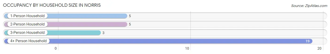 Occupancy by Household Size in Norris