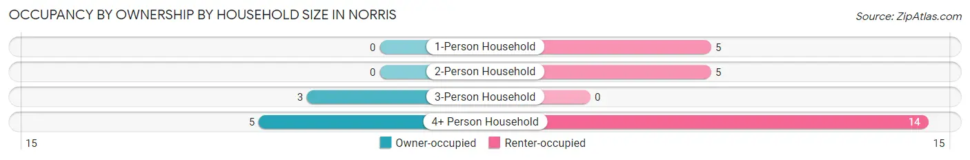 Occupancy by Ownership by Household Size in Norris