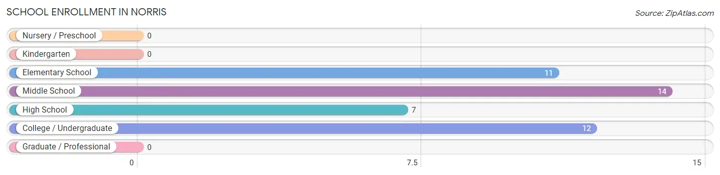 School Enrollment in Norris