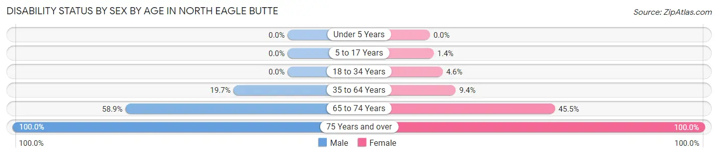 Disability Status by Sex by Age in North Eagle Butte