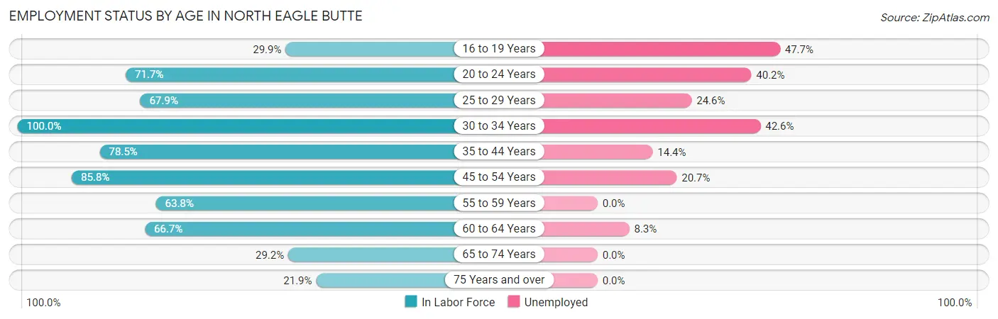 Employment Status by Age in North Eagle Butte