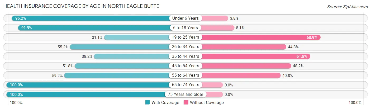 Health Insurance Coverage by Age in North Eagle Butte
