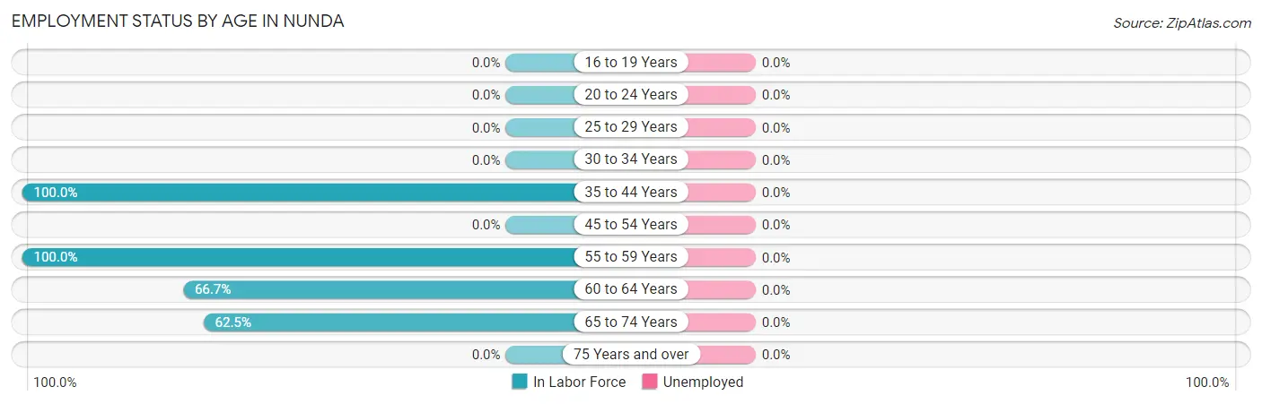 Employment Status by Age in Nunda