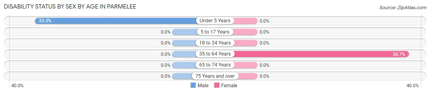 Disability Status by Sex by Age in Parmelee