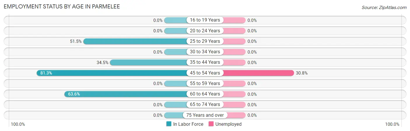 Employment Status by Age in Parmelee