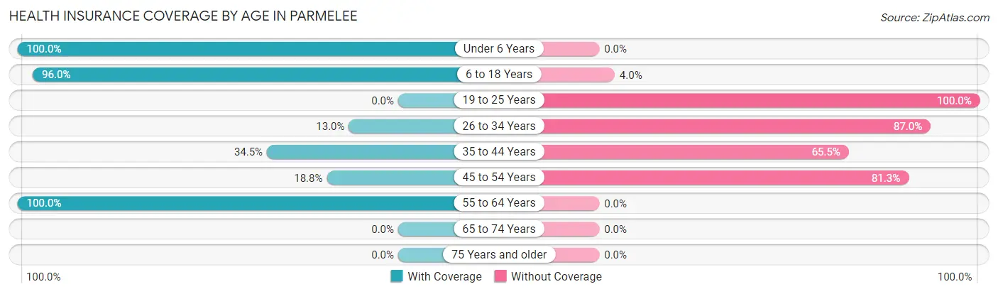 Health Insurance Coverage by Age in Parmelee