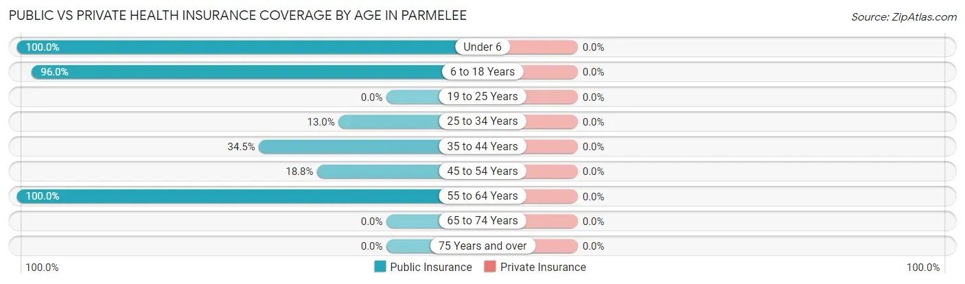 Public vs Private Health Insurance Coverage by Age in Parmelee
